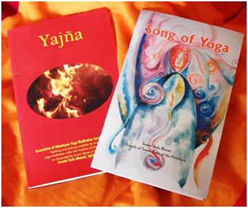 svb booklet
