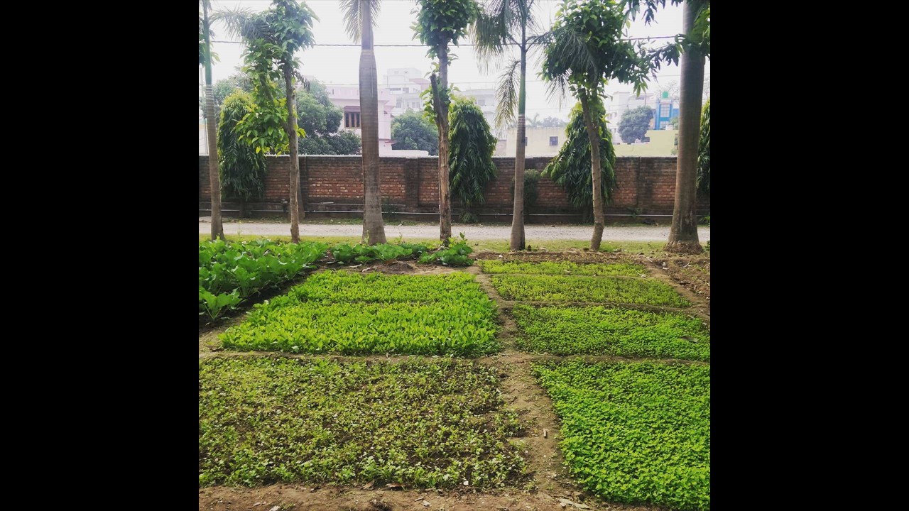 07e_organic_garden_SRSG