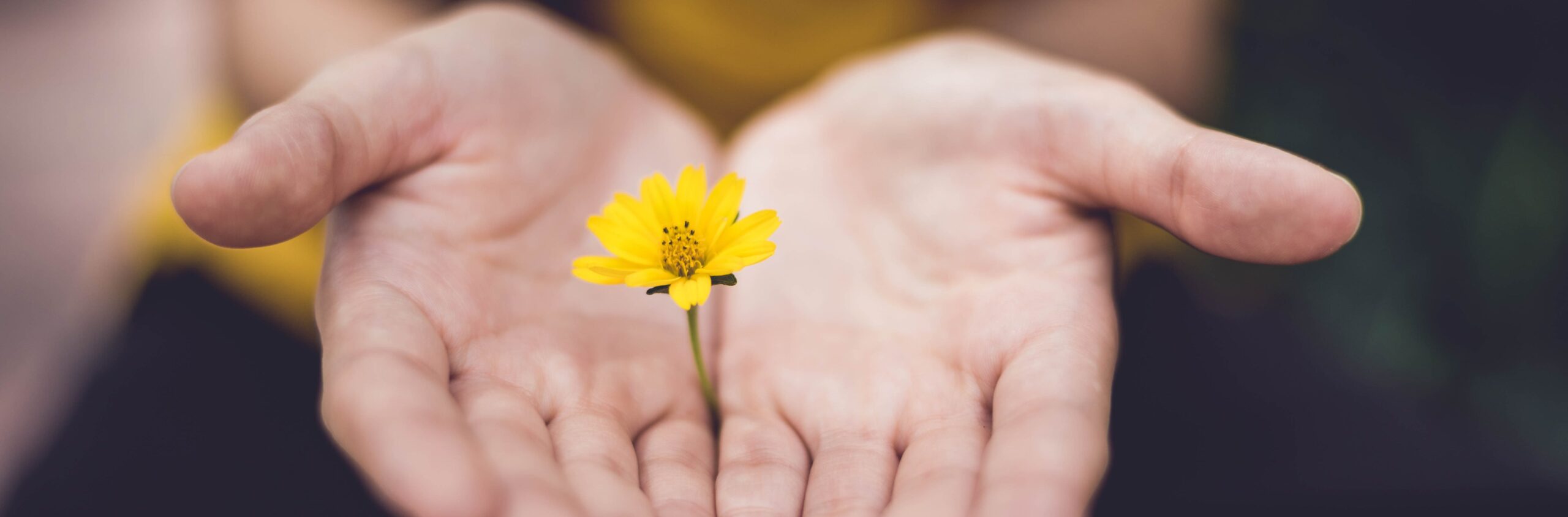 donation-banner